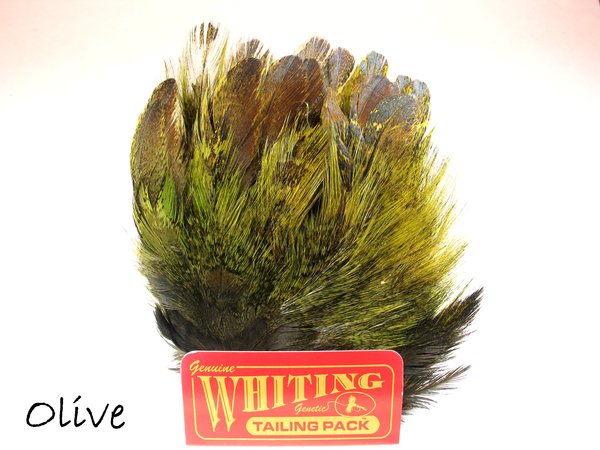 Whiting Coq de Leon Mayfly Tailing Pack